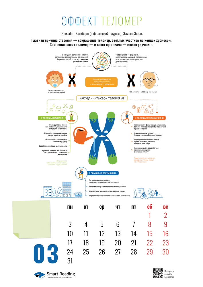 Предварительный просмотр 3